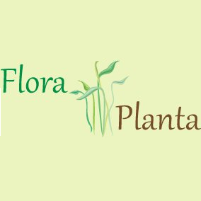 FloraPlanta